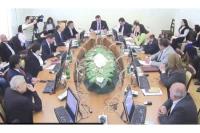 The Armenian Parliament discussed the possibility of cooperation with the Danish Business Network