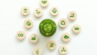 State of Supply Chain Sustainability Report Finds Governance Lags Behind