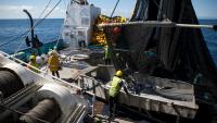 Commercial fish discard reviews extended as Jones bill remains ‘marooned’