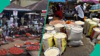 Good news for Nigerians as September inflation rate drops to 14.63%, food prices fall