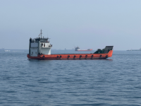 163 Indians aboard 12 commercial vessels in Persian Gulf: MEA
