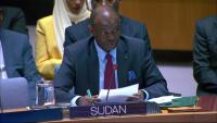 Sudan Accuses UAE of Supporting RSF Militia and Destabilizing the Region