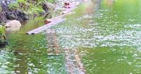 Stabilization, habitat improvement continues along UC’s French Creek