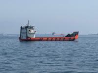 163 Indian seafarers on board 12 commercial vessels in Persian Gulf cu...