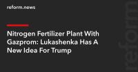 Nitrogen Fertilizer Plant With Gazprom: Lukashenka Has A New Idea For Trump