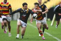 New Zealand Rugby haemorrhaging millions
