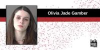 Warsaw Teenager Arrested After Alleged Domestic Battery