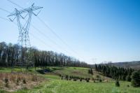 Pennsylvania Farm Bureau calls for data center moratorium