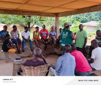 New Logging Deal in Western Liberia Raises Alarm