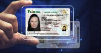 Florida rolls out newly designed driver licenses, ID cards