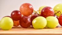 South African table grape season poised for early start