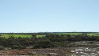 WA energy transition: Foresight presses go on Kondinin Wind Farm as State chases coal closure target