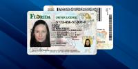 Florida rolls out redesigned driver licenses, ID cards