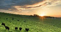 Farm Bureau holds 81st Annual Banquet