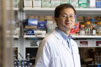 UCSD professor who pioneered medicinal Trojan horses awarded prestigious MacArthur ‘genius grant’