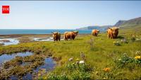 A Scottish university connected 27 nature sites across 16 km of coastline; 15 months of restoration created wetlands, meadows and woodland