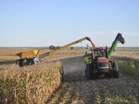 Bankruptcy Court: Bond Companies Have No Rights to Hansen-Mueller Grain Funds