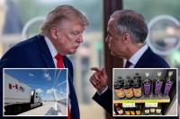 US ban on Canadian imports takes effect — the goods that can no longer cross the border