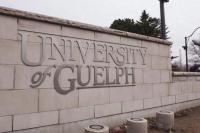 University of Guelph promises review, changes after chaotic homecoming party