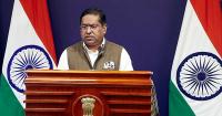 Six India-flagged, six foreign vessels of Indian interest in Persian Gulf: MEA