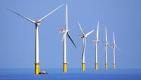 Maine Joins New Lawsuit Challenging Offshore Wind Lease Cancellations