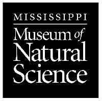 Hoot 4 Hope walk at Natural Science Museum to benefit American Cancer Society