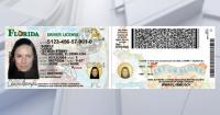 Florida driver's license gets redesigned: See the new look, features