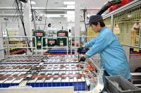 China unveils 5-year plan for battery sector