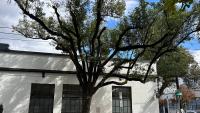 Business briefs: ReClaim It and ILY2 art center move to NW