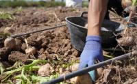 Study finds Idaho regenerative farming can help climate, bottom line