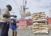 EU Food Imports From Cameroon Lose CFA440 Billion in Value as Cocoa Prices Fall