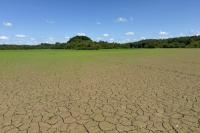 BLOOMS POP ON PARCHED LAKE