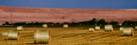 Trade, Fertilizer and Canadian Economic Security