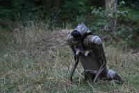 Ukraine Sets Six-Month Humanoid Kill Benchmark With Robot That Cannot Work in Rain