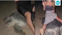 Ukrainian tourists sit on sea turtle in Oman, viral video prompts legal action
