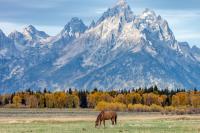 MLB seeks to bring a game to Grand Teton, drawing criticism over construction in a national park