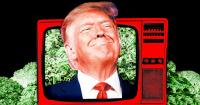 Source of Taxpayer Money for Trump’s Propaganda Ads Revealed