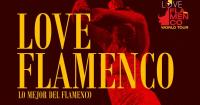 Music & Arts Community Center hosts Love Flamenco World Tour Oct. 3