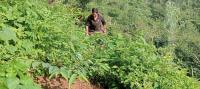Farmers’ registry: 300,000 farmers added