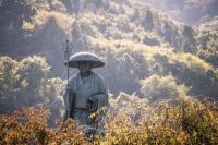 Japan's Smallest and Least-Populated Major Island Is a World of Pilgrimages, Delicious Food and Plenty of Forest Bathing