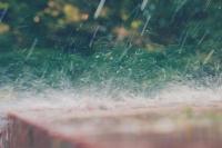 Environment Canada issues heavy rainfall warning for Pitt Meadows, Maple Ridge