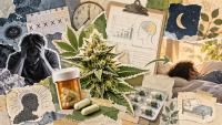 Cannabis Withdrawal Treatment: Experimental Drug Shows Promise in Small Trial