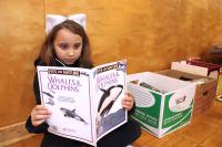Fewer than half of Nova Scotia Grade 3 and Grade 6 students meet writing standards: Audit
