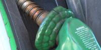 Ag. commissioner calls on Mississippi leaders to declare economic emergency, lower fuel costs