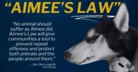 Aimee’s Law Officially Advances in Pennsylvania Senate