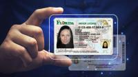 Florida redesigns its driver's licenses and ID cards