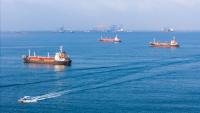 Six India-flagged, 6 foreign-flagged vessels of Indian interest in Persian Gulf area: MEA