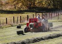 La Plata County agriculture producers happy to see rain, but earlier would have been better