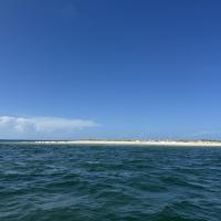 Florida Bucket List: Port St. Joe’s Detour Charters