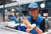 The new Sydney Fish Market is open and accessible to all